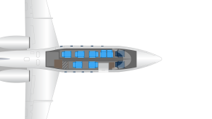 SkyAngels Air Ambulance Medical Staff Transfers