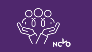 SkyAngels NCVO Membership