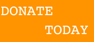 SkyAngels Donate Today Banner