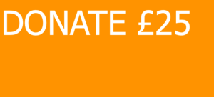 SkyAngels Donate Today £25 Banner